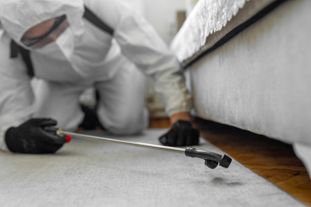 Professional Termite Control technician working in Point Venture, TX